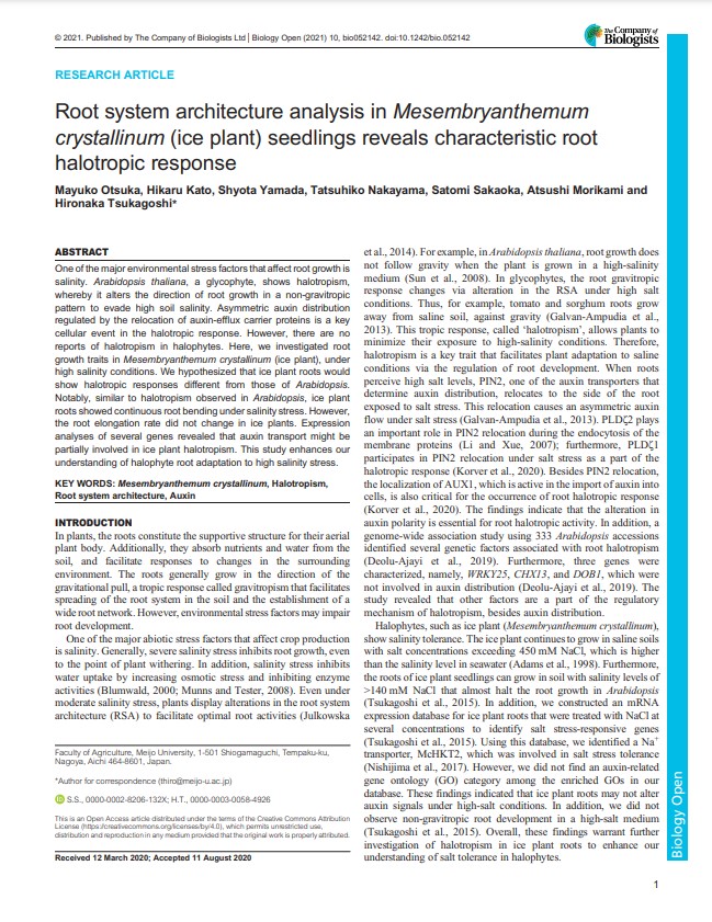 2021 Root system architecture analysis in Mesembryanthemum crystallinum (ice plant) seedlings reveals characteristic root halotropic response